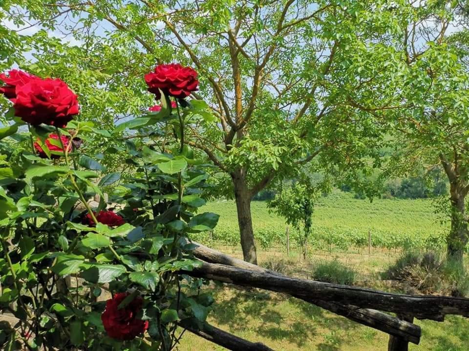 Cascina Valtignosa Camere Con Vigna Cassine Kültér fotó