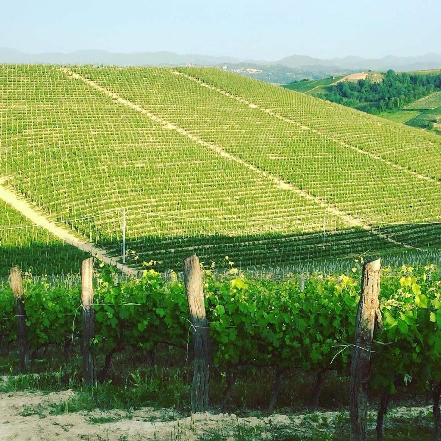 Cascina Valtignosa Camere Con Vigna Cassine Kültér fotó