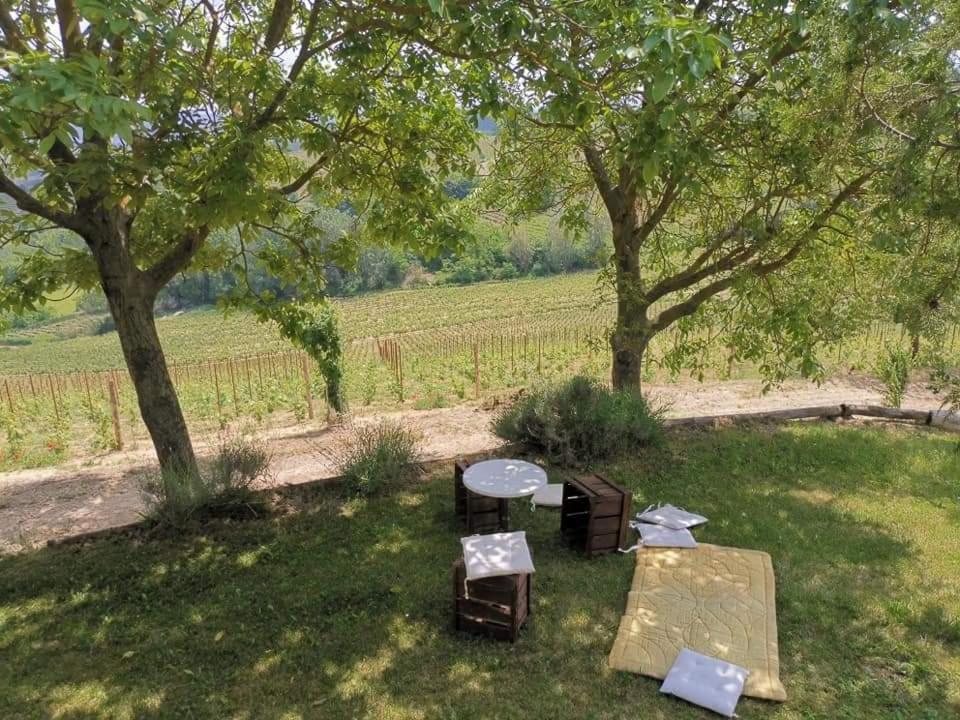 Cascina Valtignosa Camere Con Vigna Cassine Kültér fotó