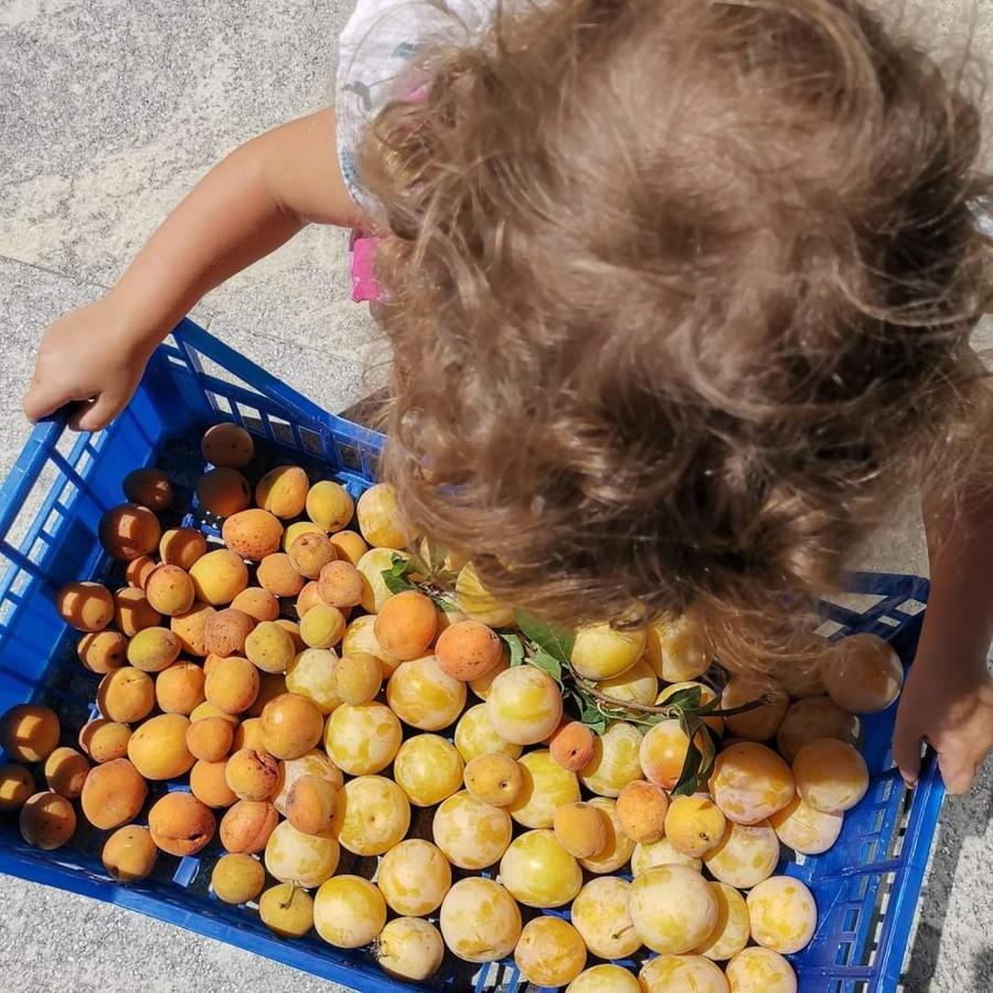 Cascina Valtignosa Camere Con Vigna Cassine Kültér fotó