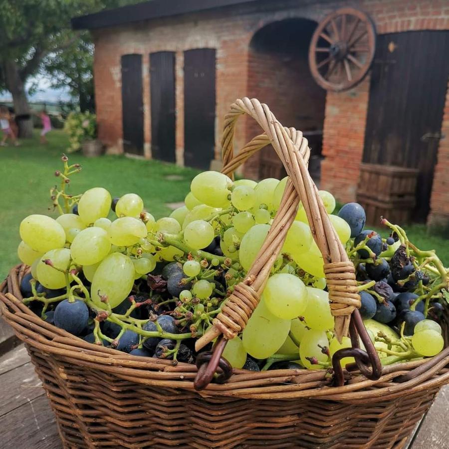 Cascina Valtignosa Camere Con Vigna Cassine Kültér fotó