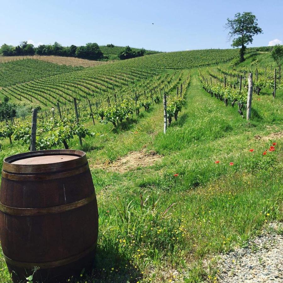 Cascina Valtignosa Camere Con Vigna Cassine Kültér fotó