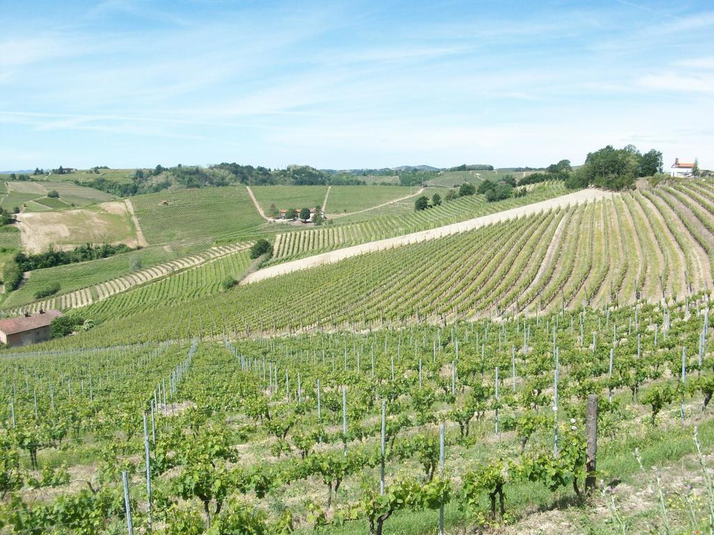 Cascina Valtignosa Camere Con Vigna Cassine Kültér fotó