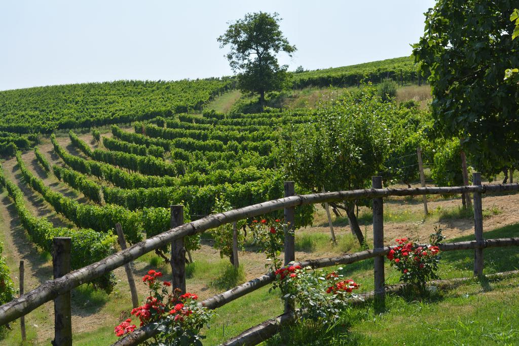 Cascina Valtignosa Camere Con Vigna Cassine Kültér fotó