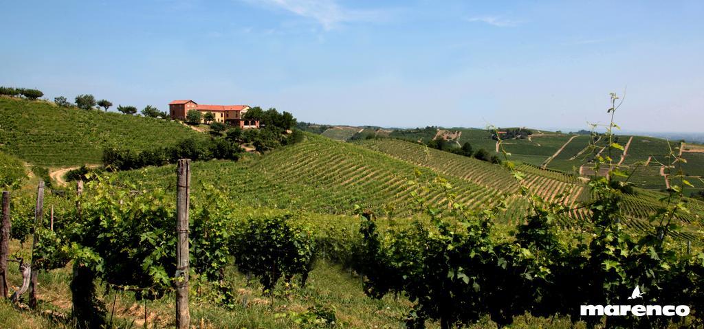 Cascina Valtignosa Camere Con Vigna Cassine Kültér fotó