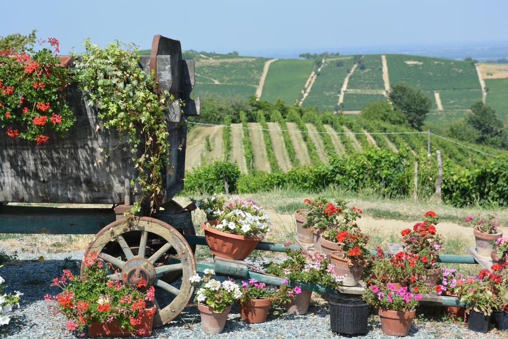 Cascina Valtignosa Camere Con Vigna Cassine Kültér fotó