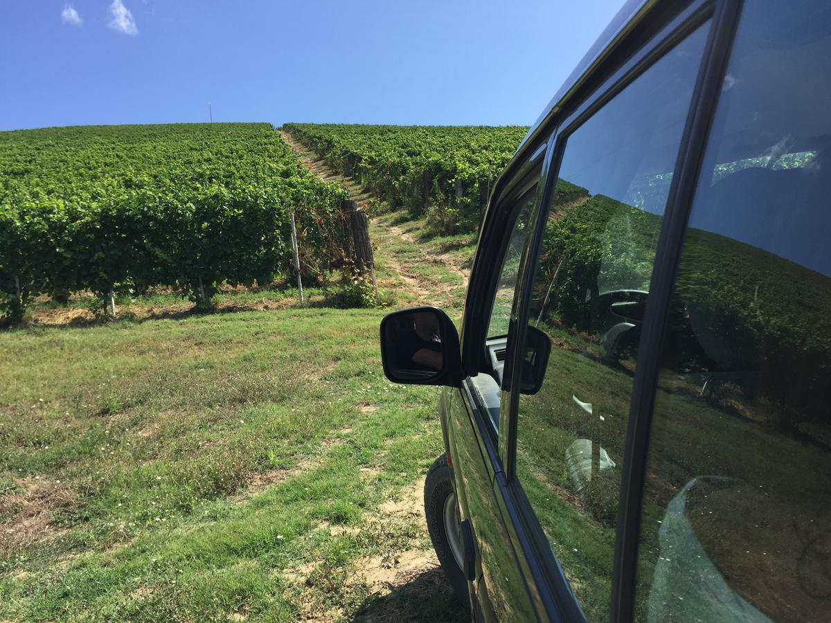 Cascina Valtignosa Camere Con Vigna Cassine Kültér fotó