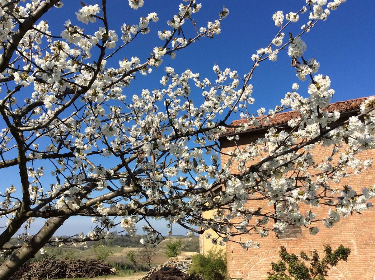 Cascina Valtignosa Camere Con Vigna Cassine Kültér fotó